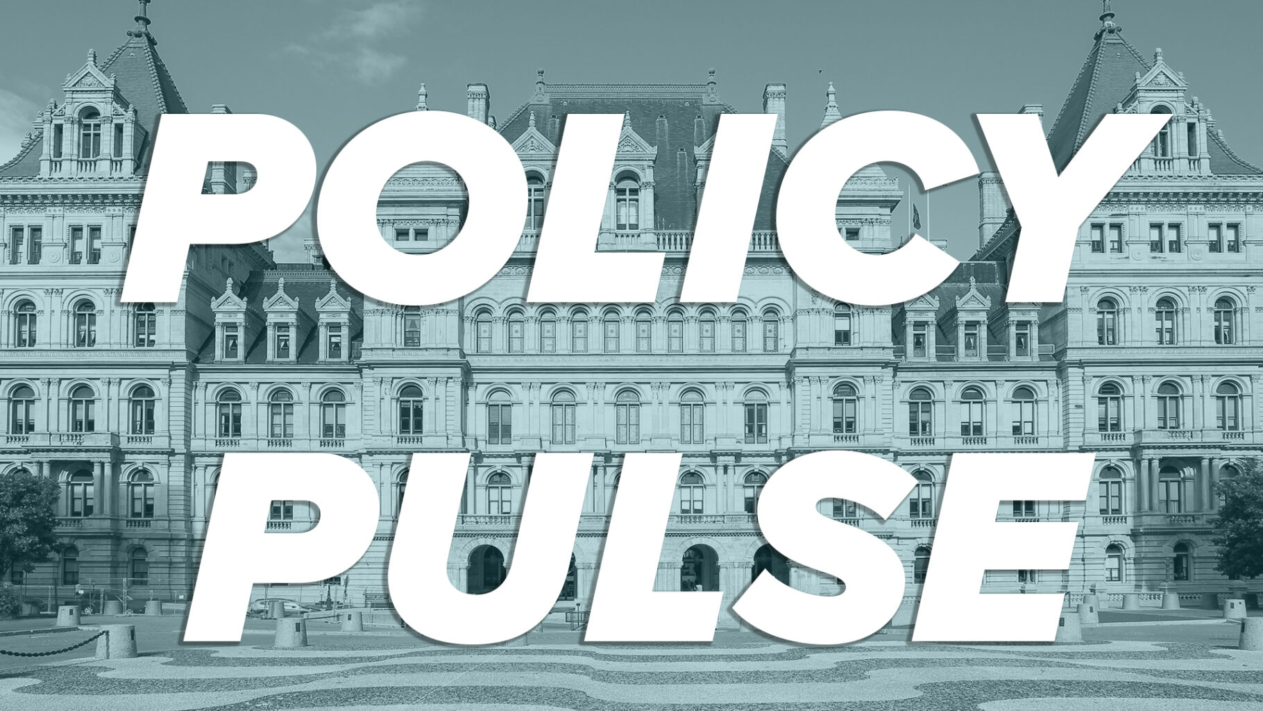 policy pulse policy brief; images has the words "policy pulse" — displayed in large, bold white color — in the foreground with the new york state capitol in the background there is a semi-transparent blue overlay so the capitol building looks blue.